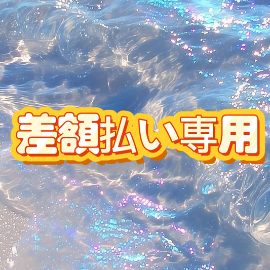 差額払い専用